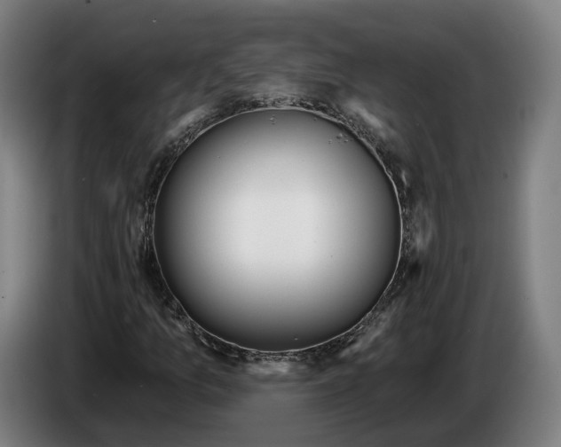 X0000086251157200704191836