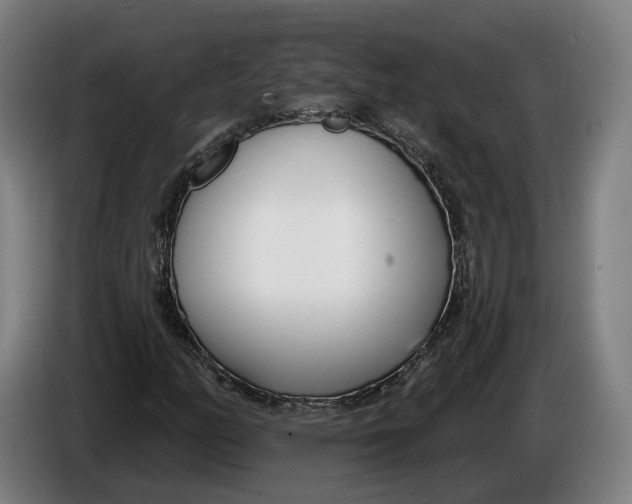 X0000086251158200704191836