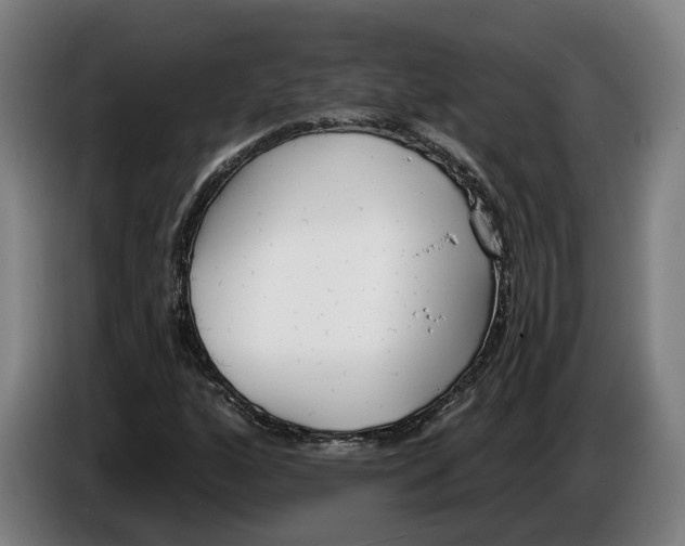 X0000086251160200704191836
