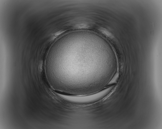 X0000086251161200704191836