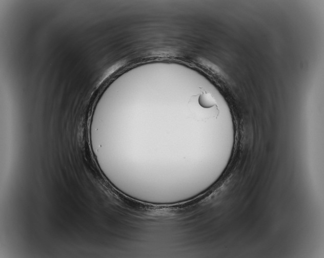 X0000086251162200704191836