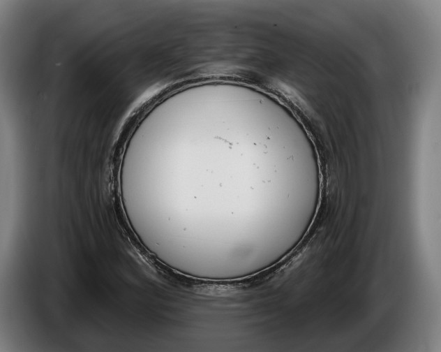 X0000086251164200704191836