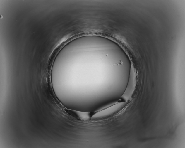 X0000086251165200704191836