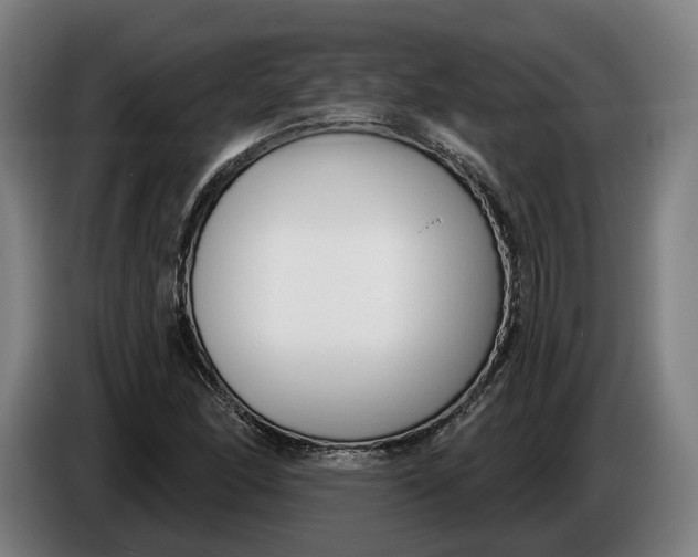 X0000086251166200704191836