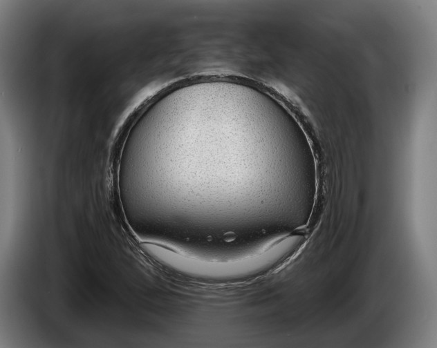 X0000086251167200704191836