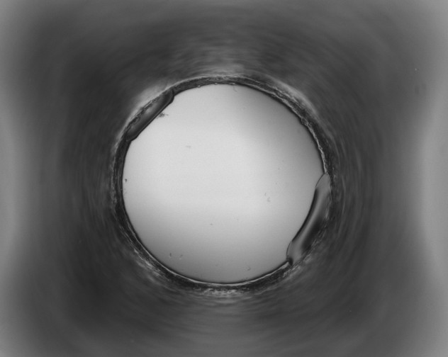 X0000086251168200704191836