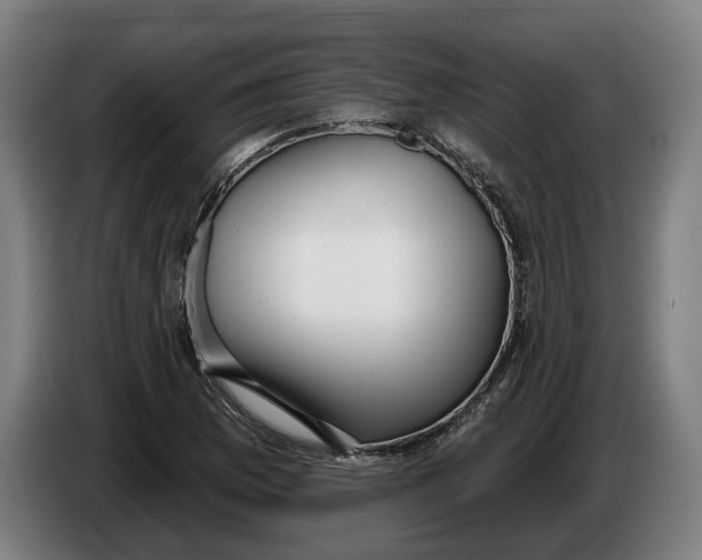 X0000086251169200704191836