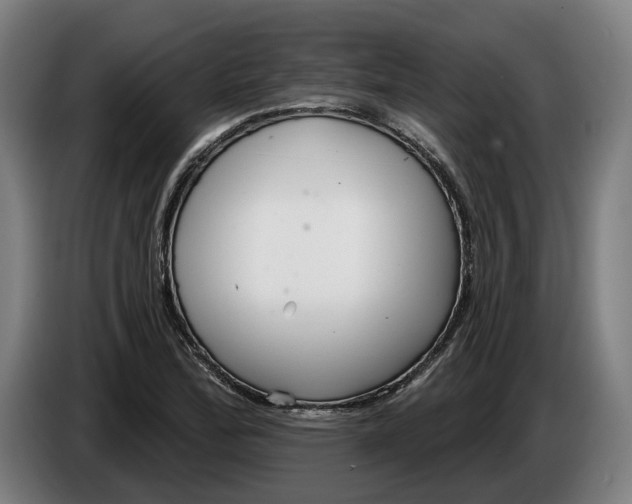 X0000086251172200704191836