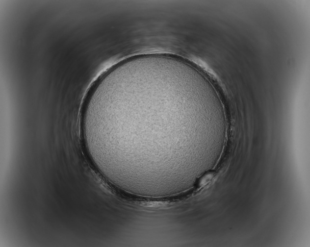 X0000086251173200704191836