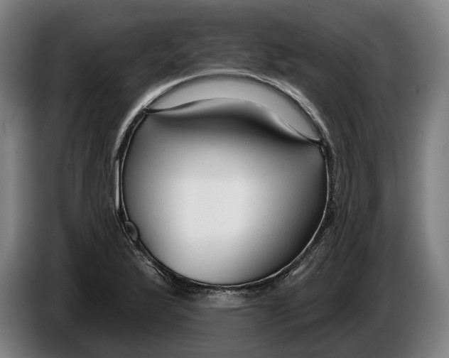 X0000086251175200704191836