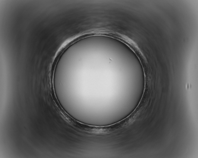 X0000086251176200704191836