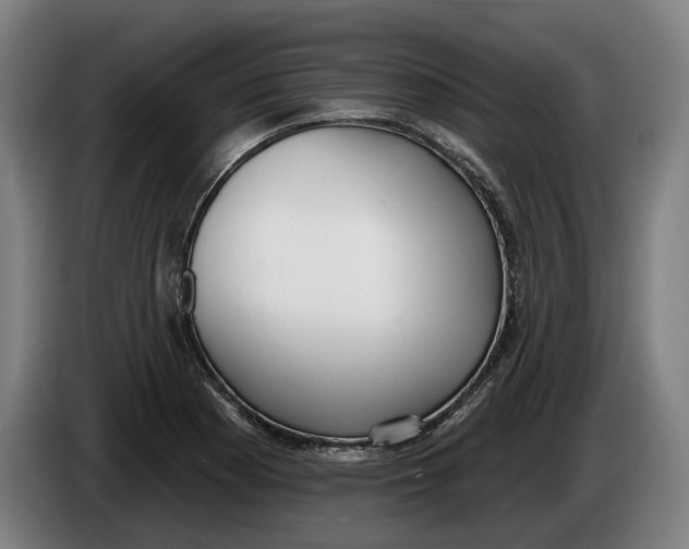 X0000086251177200704191836