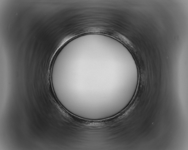 X0000086251178200704191836