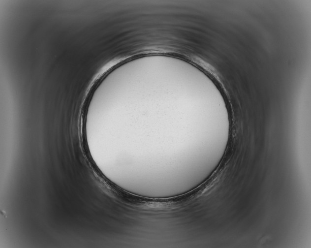 X0000086251179200704191836