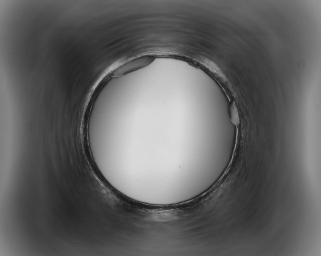 X0000086251181200704191836