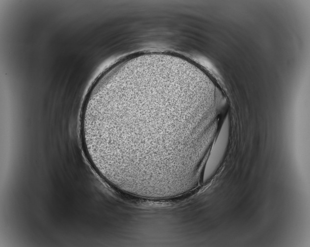 X0000086251183200704191836