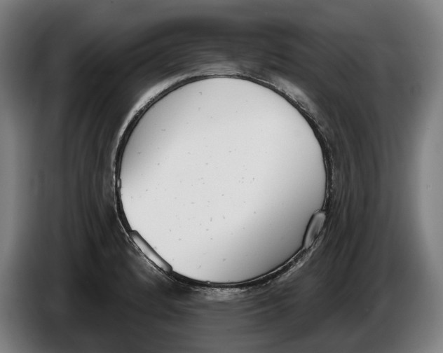 X0000086251184200704191836