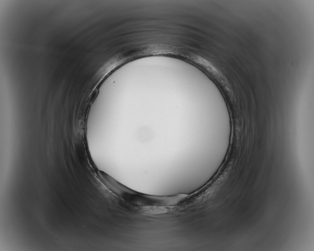 X0000086251185200704191836