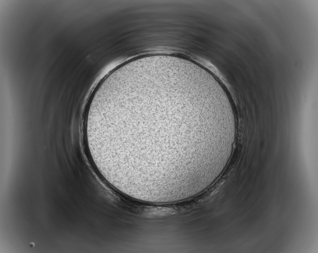 X0000086251187200704191836