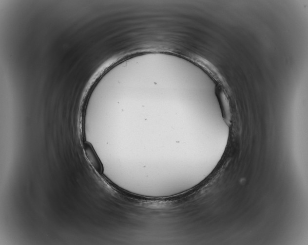 X0000086251188200704191836