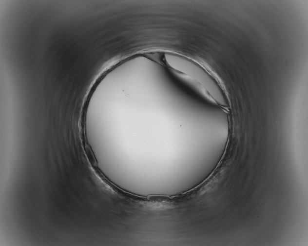 X0000086251189200704191836