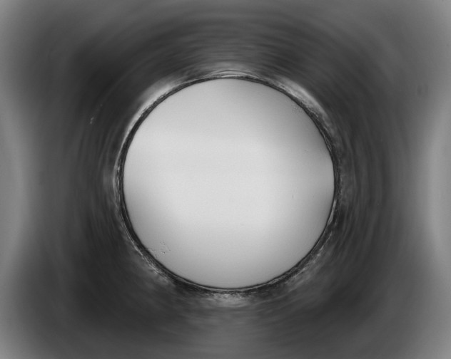 X0000086251190200704191836