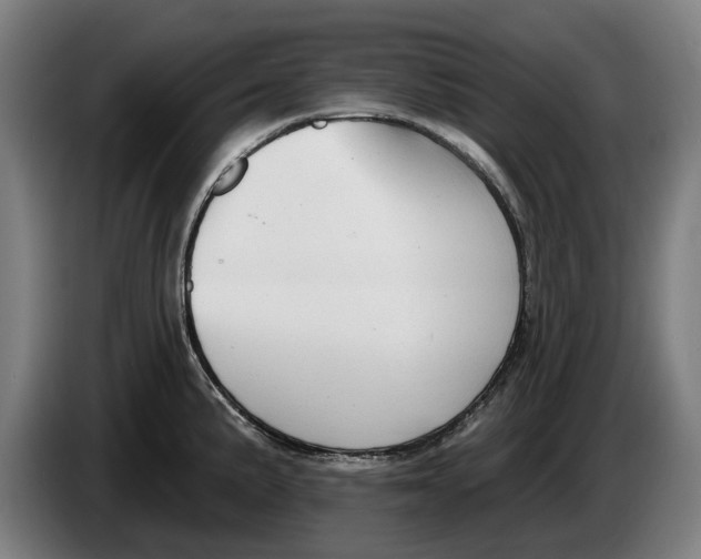X0000086251191200704191836