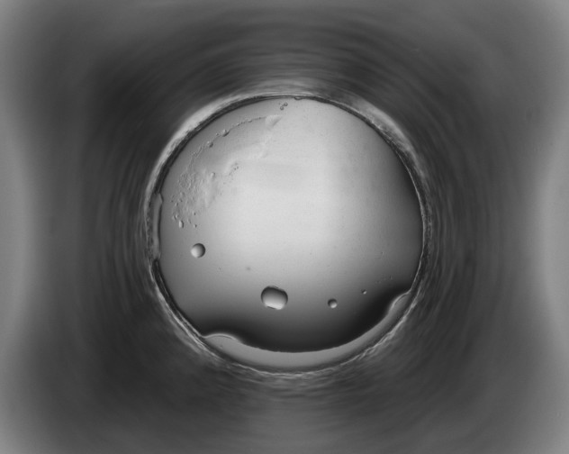 X0000086251192200704191836