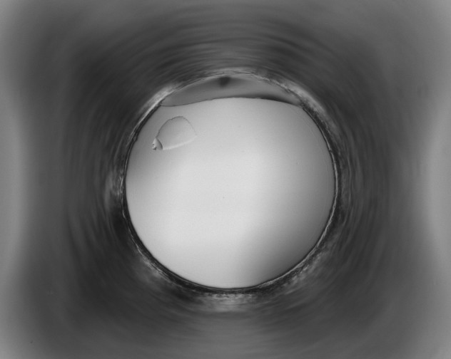 X0000086251193200704191836