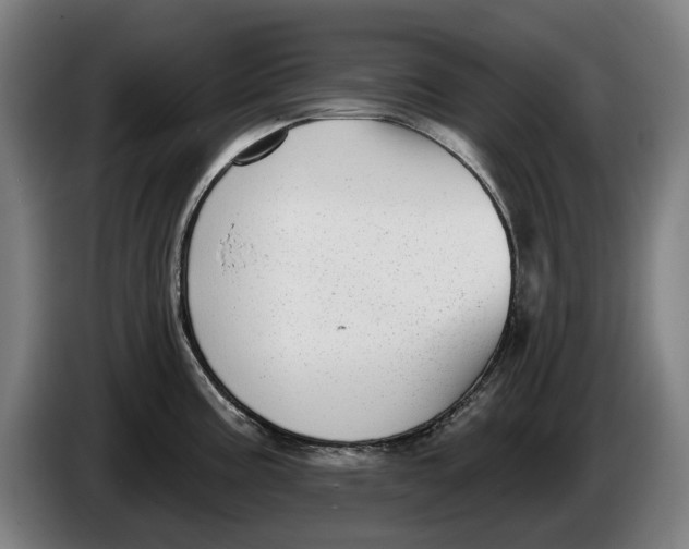 X0000086251195200704191836