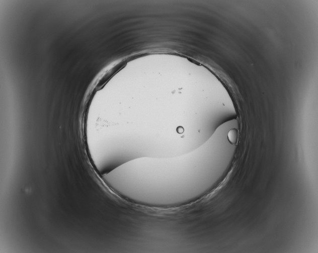 X0000086251196200704191836