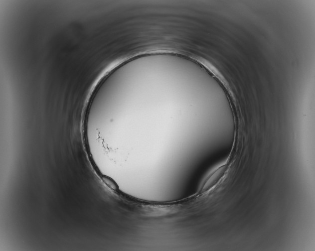 X0000086251197200704191836