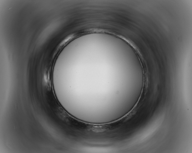 X0000086251198200704191836