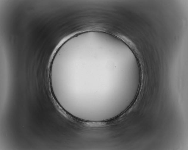 X0000086251200200704191836