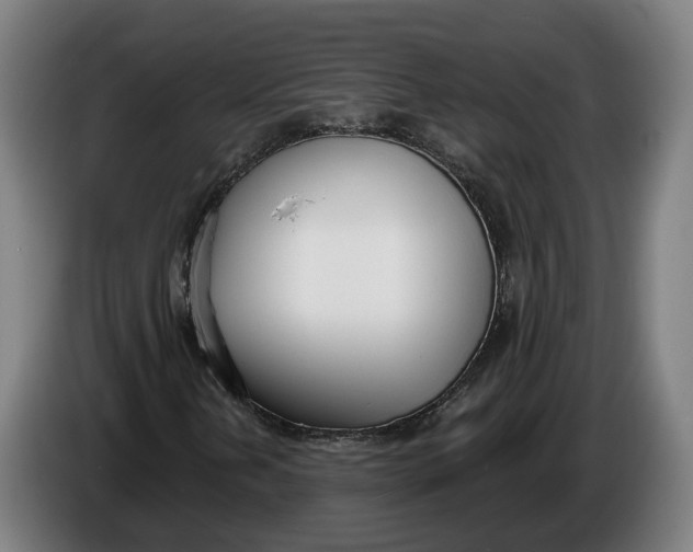 X0000086251202200704191835