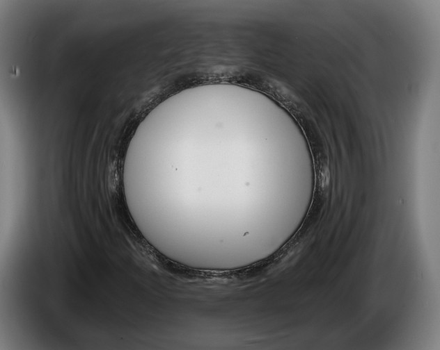 X0000086251204200704191835