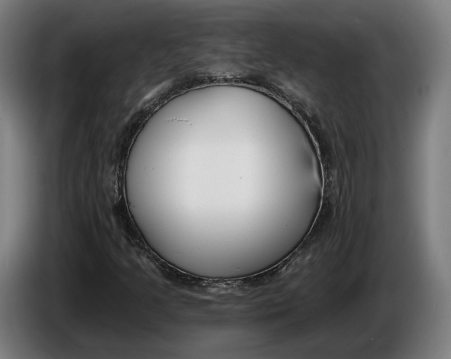 X0000086251205200704191835