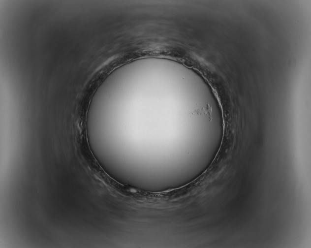X0000086251206200704191835