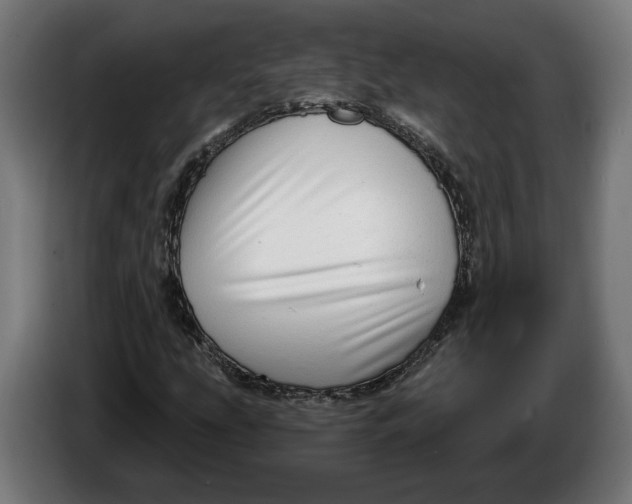 X0000086251207200704191835
