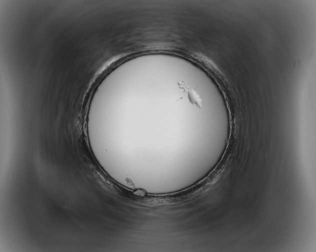 X0000086251212200704191835
