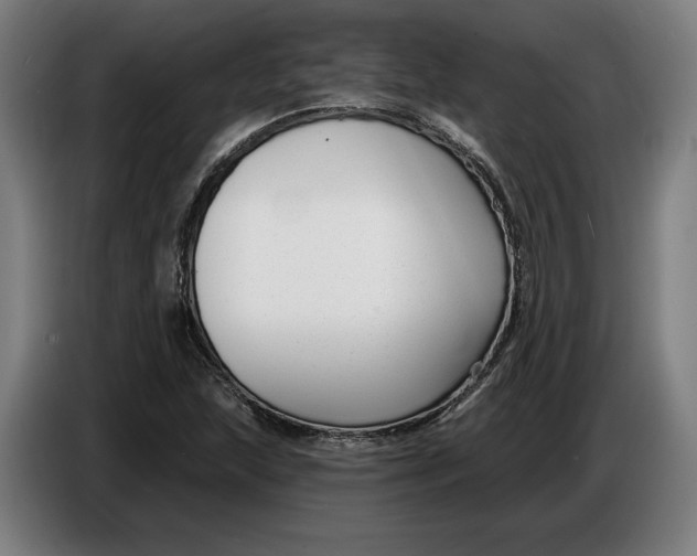 X0000086251215200704191835