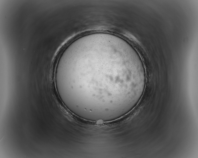 X0000086251216200704191835