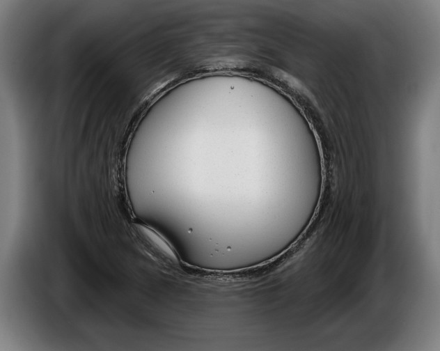 X0000086251217200704191835