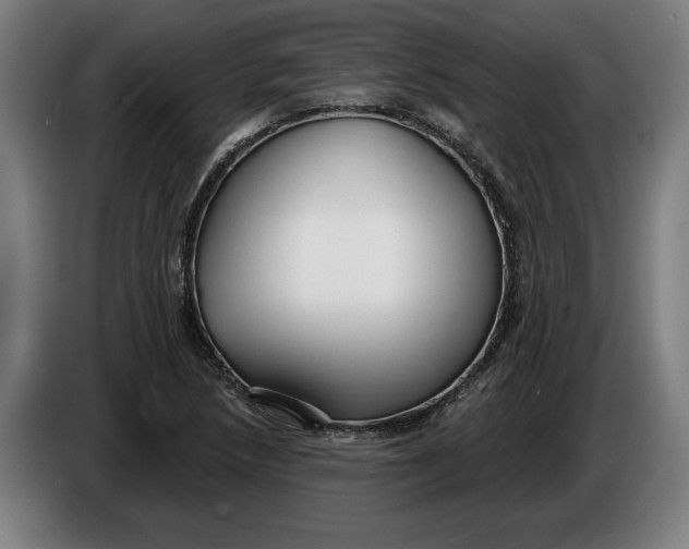 X0000086251218200704191835