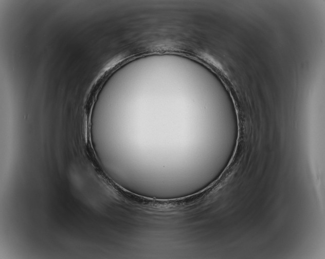 X0000086251219200704191835