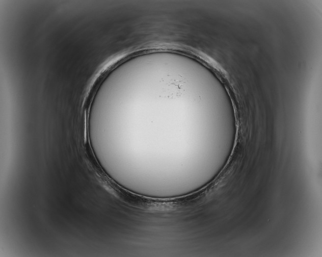 X0000086251223200704191835