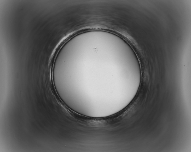 X0000086251224200704191835