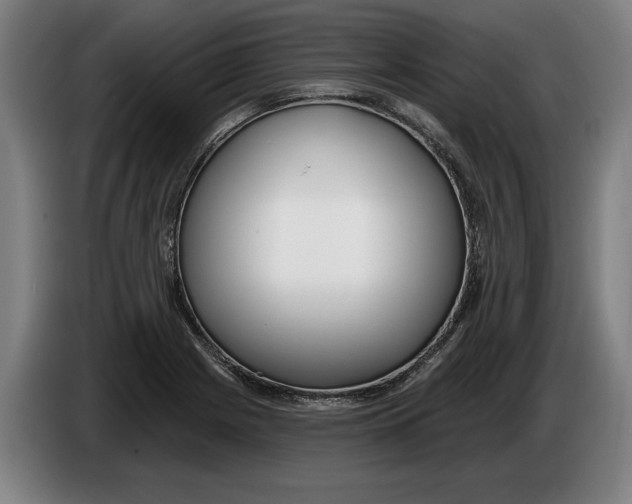 X0000086251225200704191835
