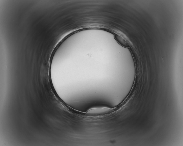 X0000086251228200704191835