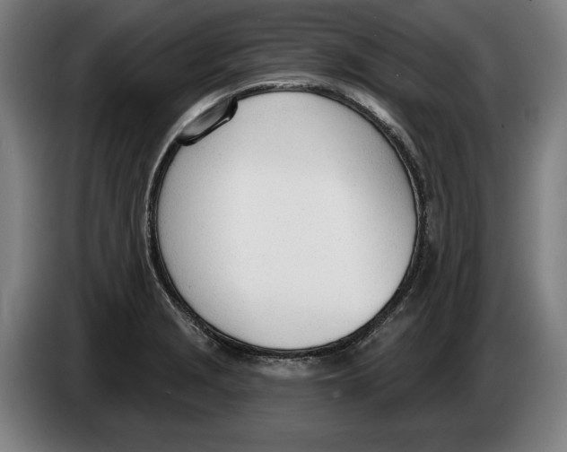 X0000086251229200704191835